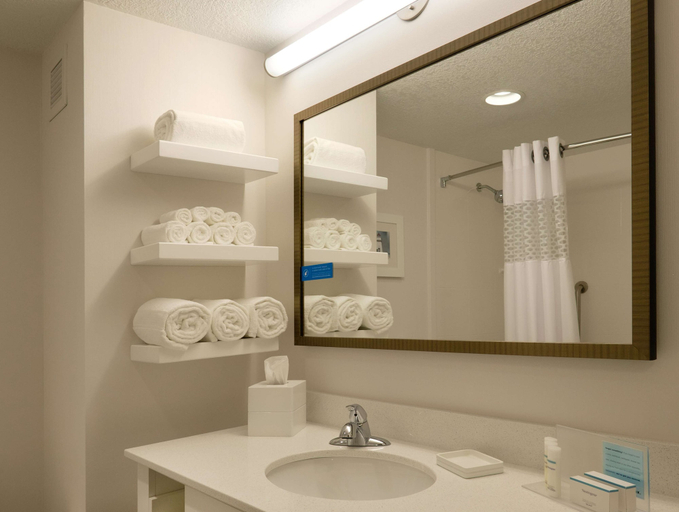 Bathroom 4, Hampton Inn Green Bay Downtown, Brown
