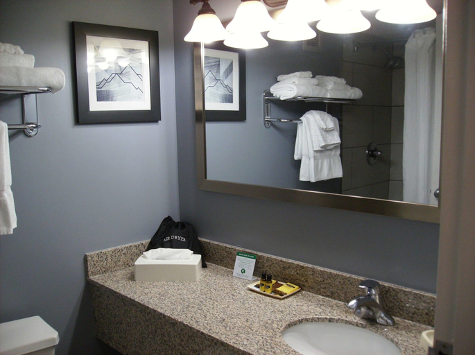 Bathroom 5, Best Western Plus Bradford Inn, Mc Kean