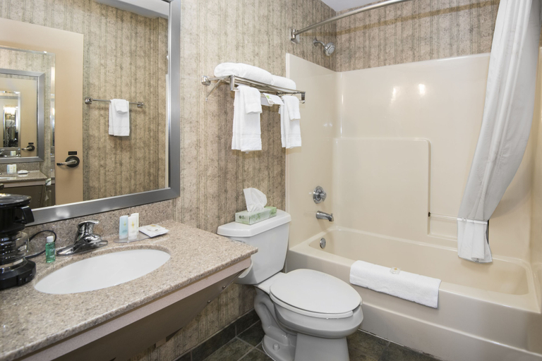 Bathroom 4, Comfort Inn & Suites Conway, Faulkner