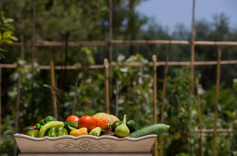 Food & Drinks 5, Aneli Villas - Villa Semeli, Ionian Islands