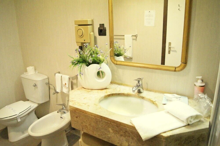 Bathroom 5, Palace Hotel & Spa Termas de São Vicente, Penafiel