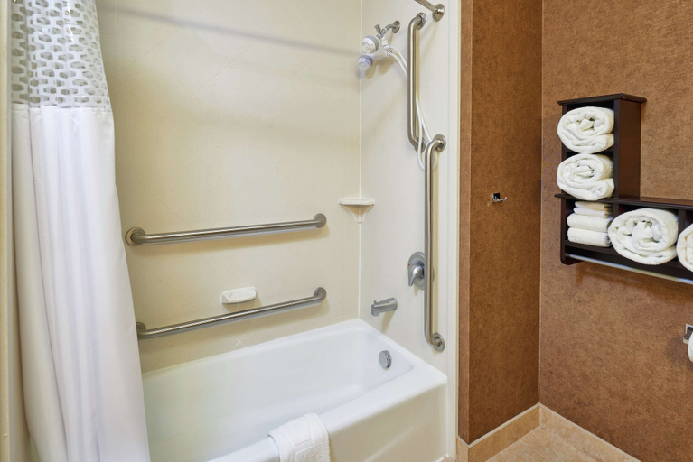 Bathroom 5, Hampton Inn Sweetwater, Nolan