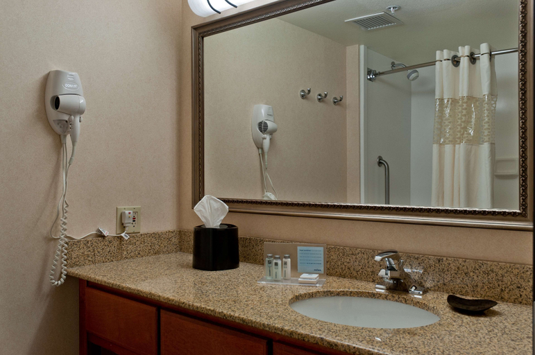 Bathroom 4, Hampton Inn Phoenix/Anthem, Maricopa