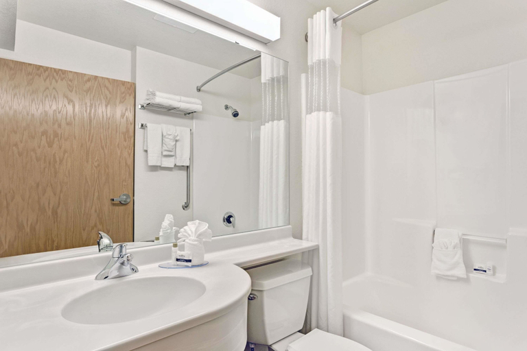 Bathroom 4, Microtel Inn & Suites by Wyndham Cheyenne, Laramie