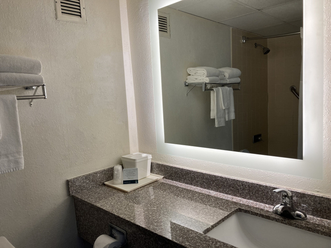 Bathroom 4, Quality Inn & Conference Center Somerset, Somerset