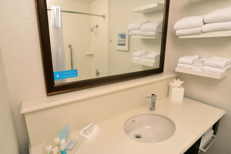 Bathroom 4, Hampton Inn Springfield-South, Greene