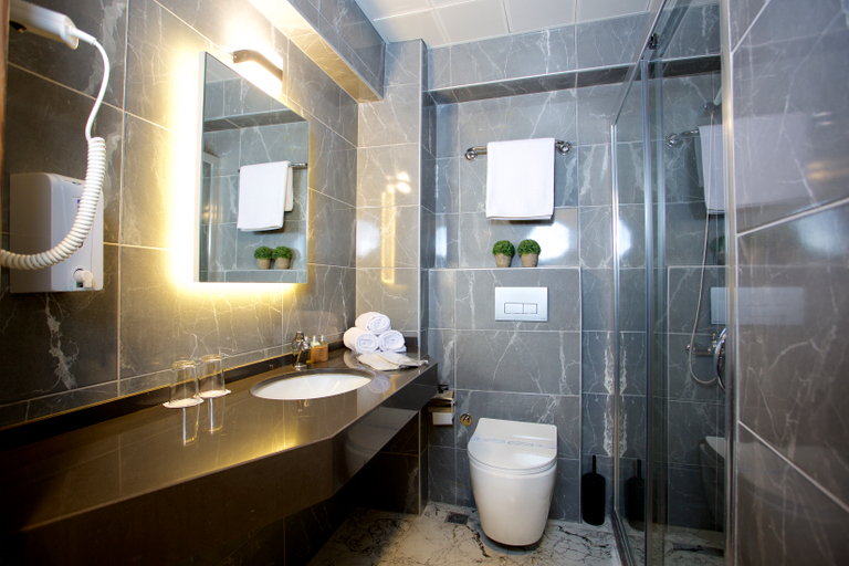 Bathroom 4, Grand Ant Hotel, Fatih