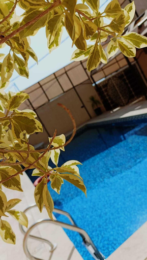 Sport & Beauty 5, Lacasa chalet panoramic view to dead sea, Shooneh Janoobiyyeh