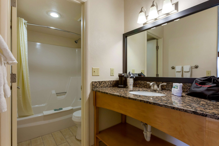 Bathroom 4, Best Western Paint Pony Lodge, Navajo