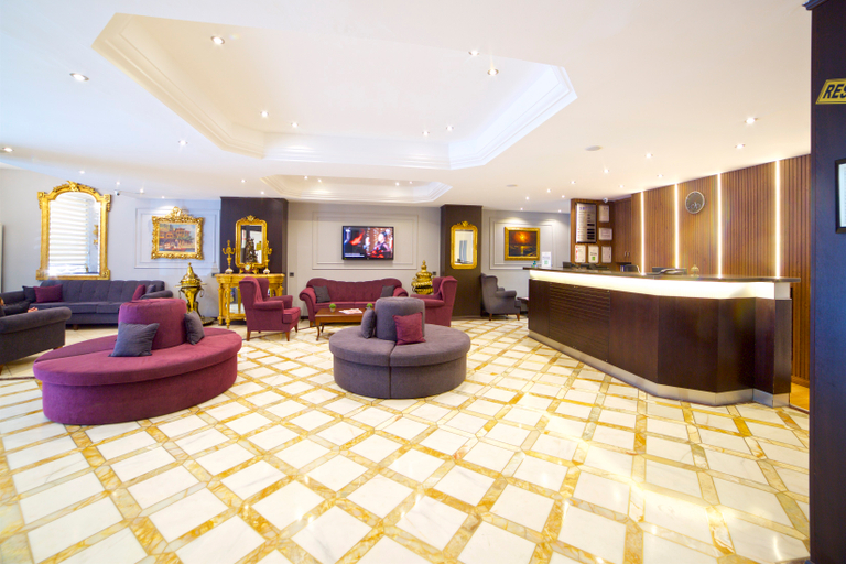 Public Area 3, Grand Ant Hotel, Fatih