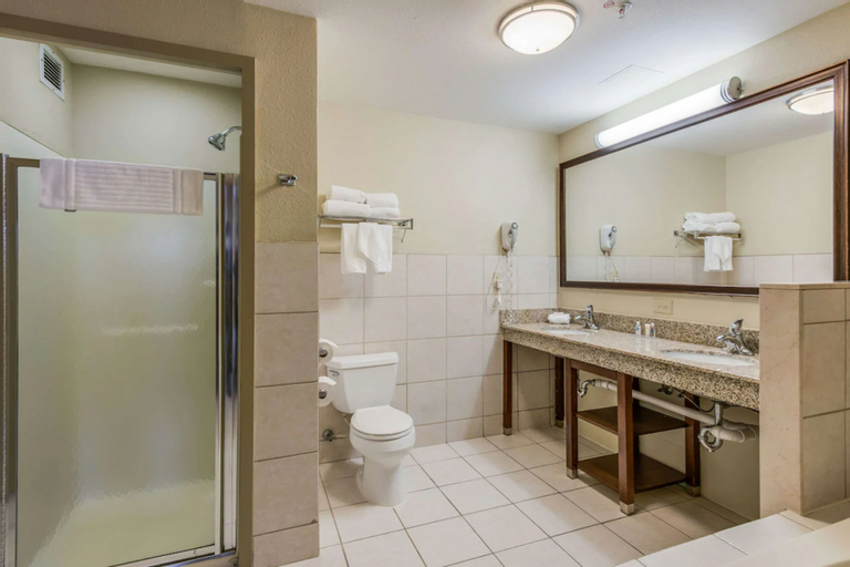 Bedroom 4, Comfort Suites Chicago O'Hare Airport, Cook
