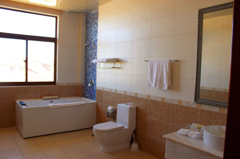 Bathroom 5, Madagascar Golden Peacock Hotel, Analamanga