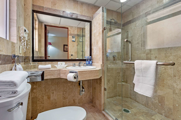 Bathroom 5, Quality Inn Aguascalientes, Aguascalientes