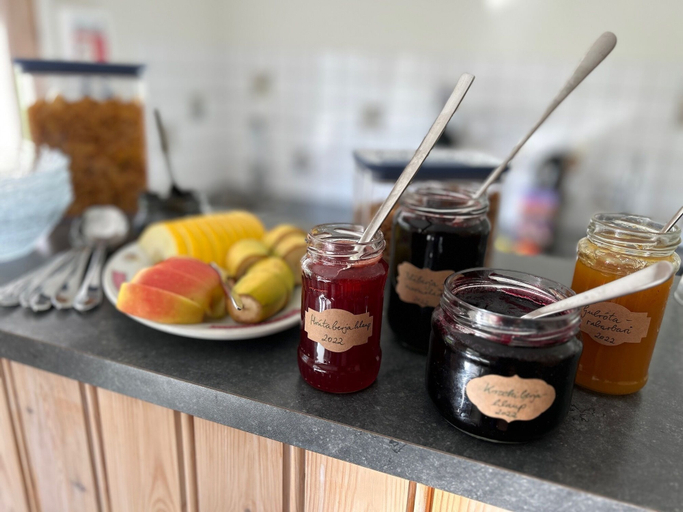 Food & Drinks 5, Guesthouse Bægisá, Öxnadalshreppur