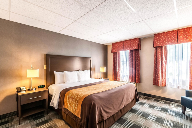 Bedroom 3, Comfort Inn Ballston, Arlington