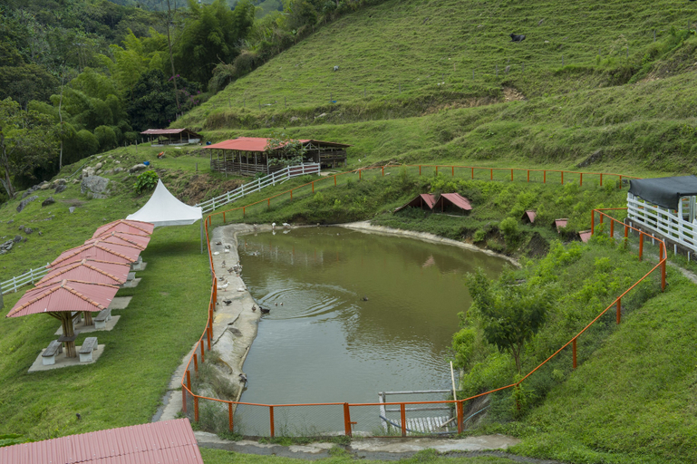 Others 1, Hacienda Charrascal Coffe Farm, Manizales
