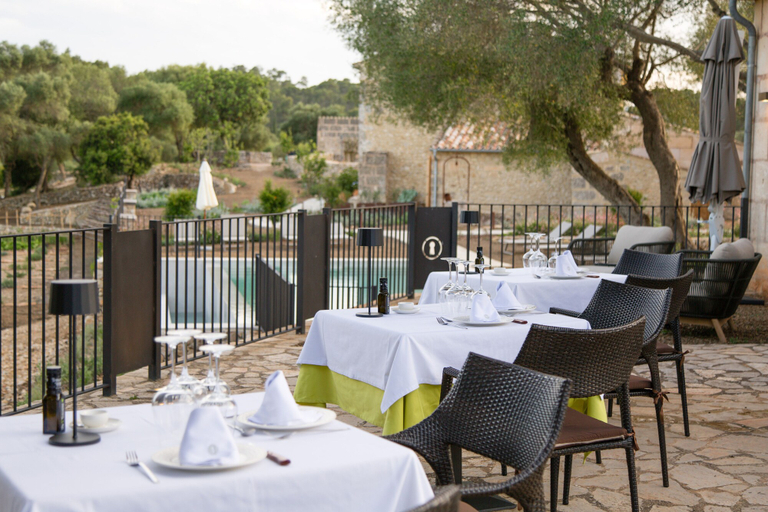 Food & Drinks 4, Treurer Olive Grove & Grand House - Adults Only, Baleares