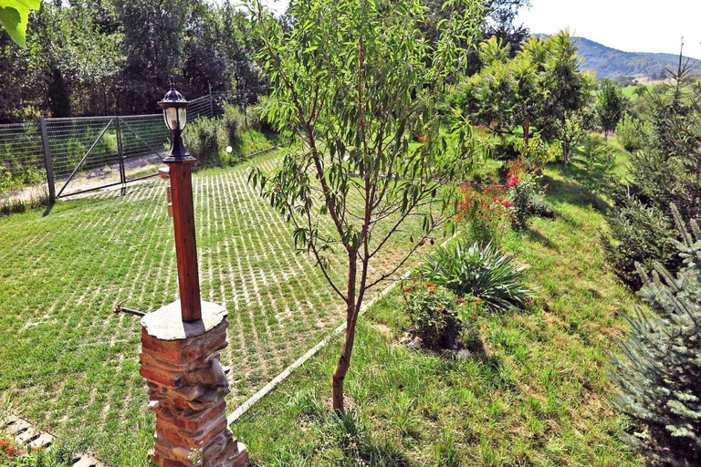 Others 4, Casa Zollo, Saliste
