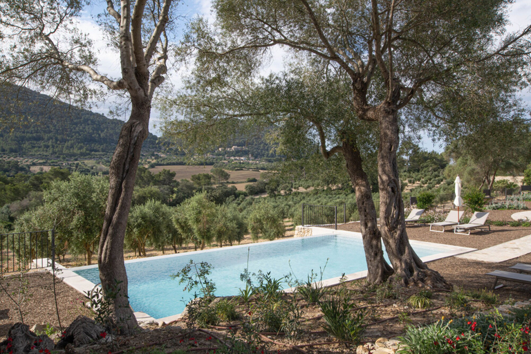 Sport & Beauty 5, Treurer Olive Grove & Grand House - Adults Only, Baleares