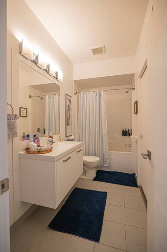 Bathroom, Gorgeous Penthouse, Division No. 11