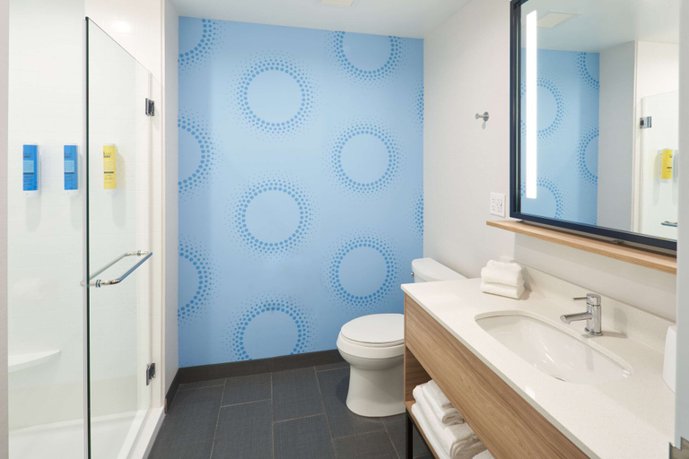 Bathroom 4, Tru by Hilton Jacksonville South Mandarin, Duval
