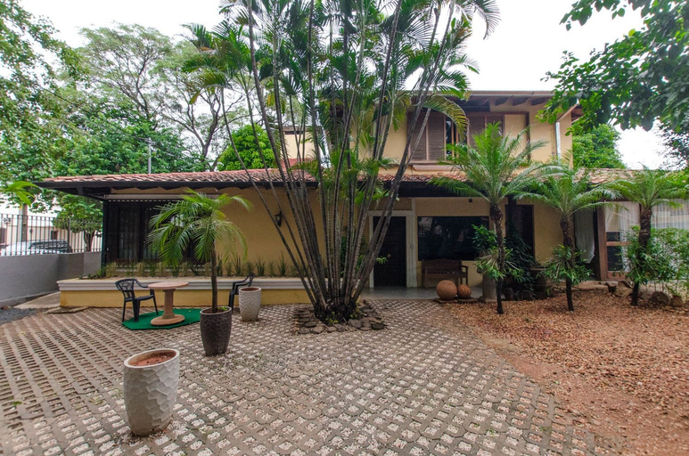 Others 4, Bright Studio surrounded by trees, Asunción