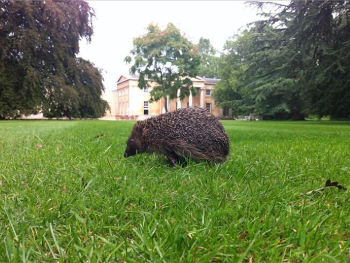 Others 5, Downing College Cambridge, Cambridgeshire