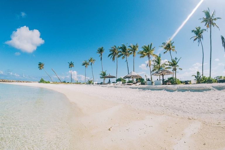 Others 5, The Bilimbi Guesthouse and Inn, Kaafu Atoll