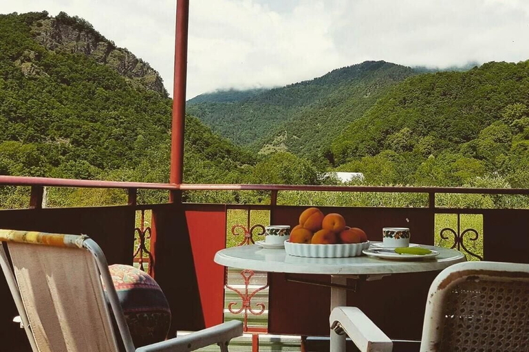 Others 4, Guest House Racha, Ambrolauri