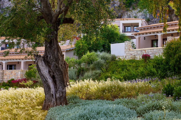 Exterior & Views 2, Angsana Corfu Resort & Spa, Ionian Islands