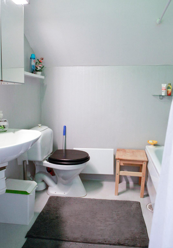 Bathroom 3, The Cozy Little House Ask 130 Motala, Motala