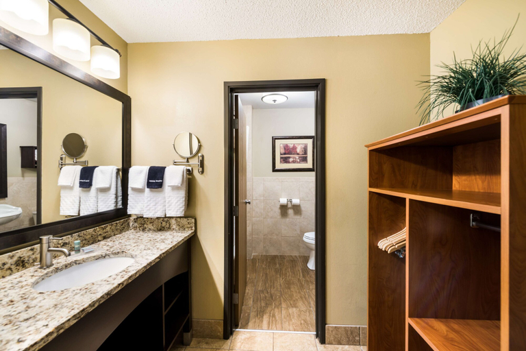 Bathroom 4, Best Western Derby Inn, Vilas