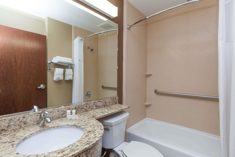 Bathroom 4, Microtel Inn & Suites by Wyndham Wheeler Ridge, Kern