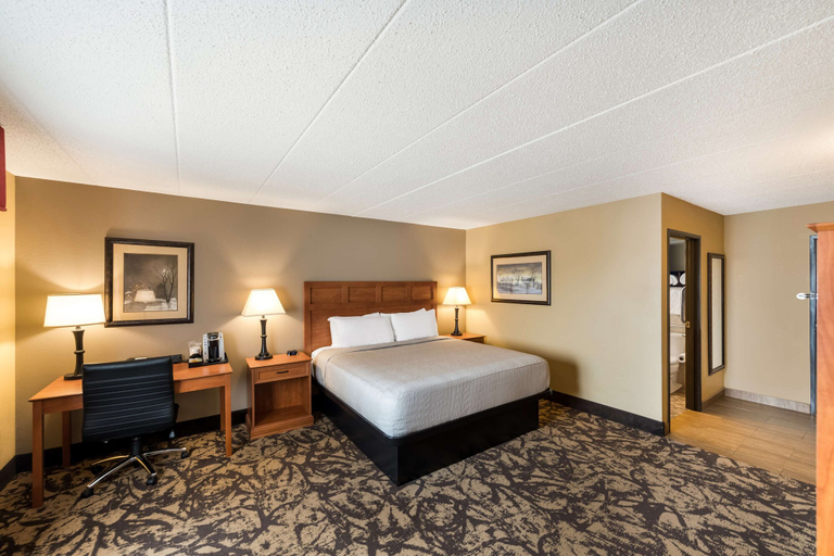 Bedroom 3, Best Western Derby Inn, Vilas