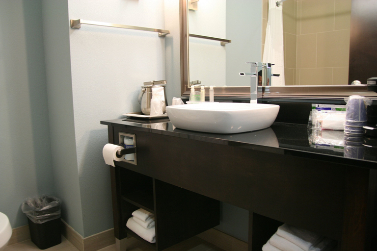 Bathroom 4, Holiday Inn Express & Suites CORPUS CHRISTI (NORTH) by IHG, Nueces