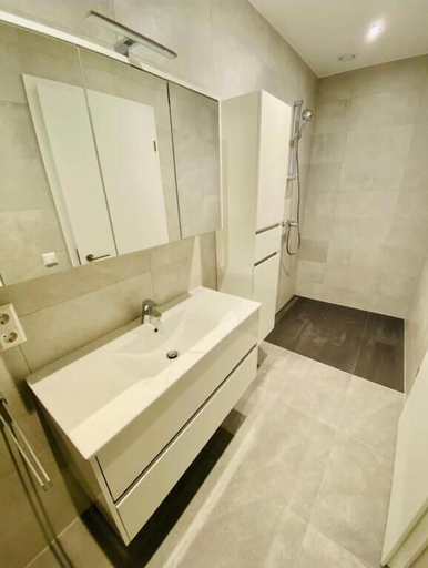Bathroom 3, 2 bedrooms with Terrace and Parking, Luxembourg