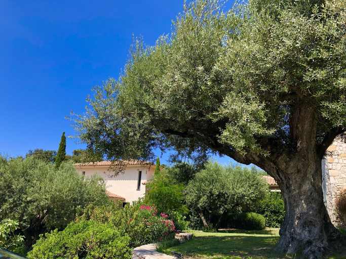 Exterior & Views 2, Nature ET Design, Corse-du-Sud