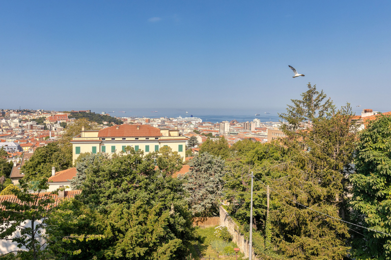 Others 5, Vista&Capriccio 2, Trieste