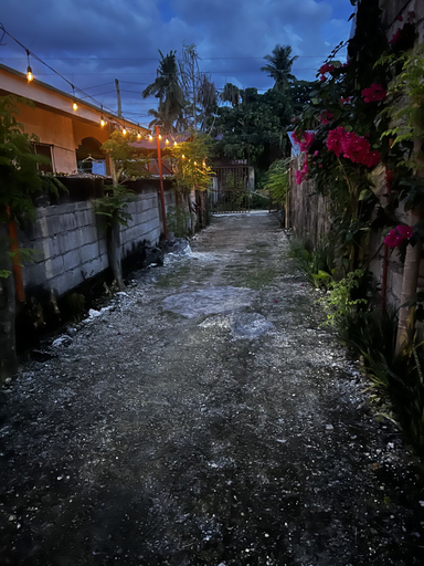 Others 2, The Backyard Inn, Moalboal