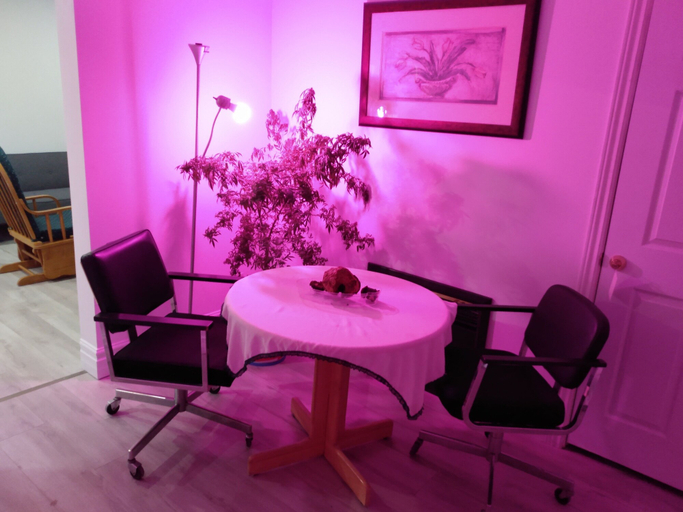 Others 3, Healing Touch Living Space, Cumberland