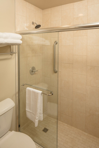 Bathroom 3, Eagle Ridge Resort and Spa, Jo Daviess