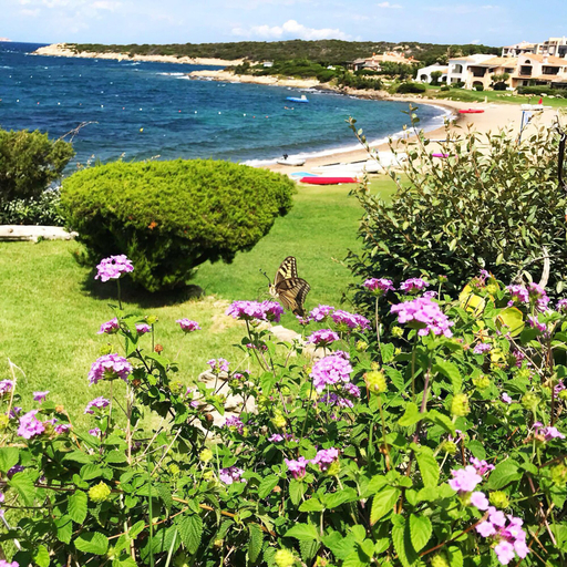 Beach/ocean view 3, Cala del Faro - Maestrale, Olbia-Tempio