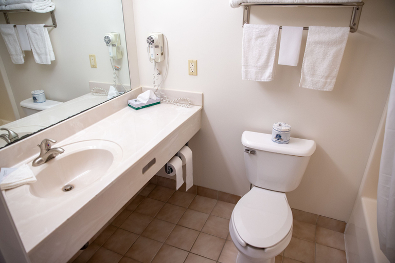 Bathroom 5, GrandStay Hotel & Suites Hastings, Dakota