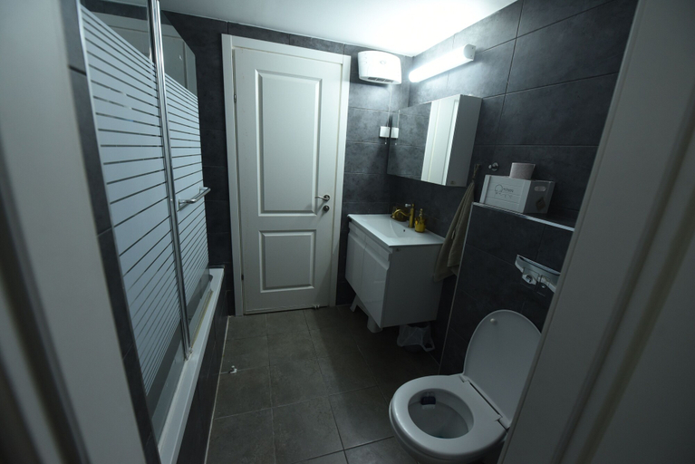 Bathroom, The apartment in the hitech park Haifa