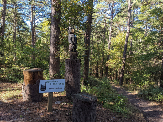 Others 4, Loblolly Pines Adventure Camp, Carroll