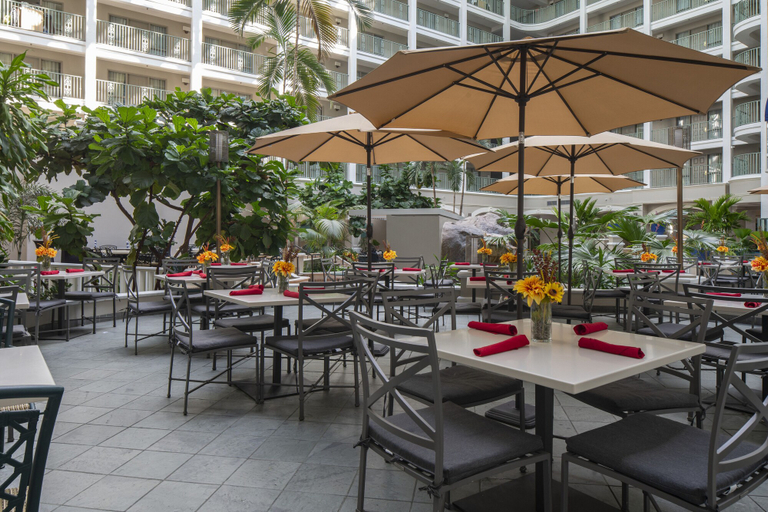 Food & Drinks 5, Sheraton Suites Fort Lauderdale at Cypress Creek, Broward