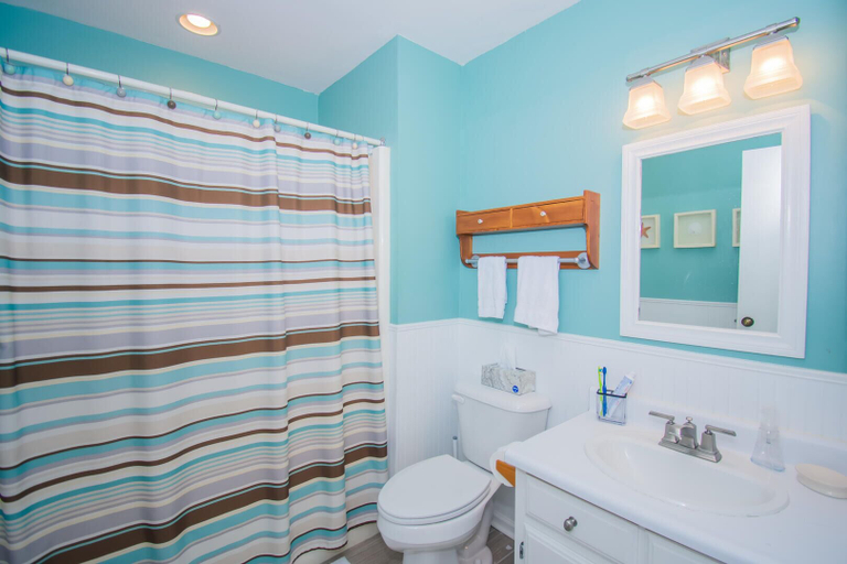 Bathroom 3, 863 Salt Cedar, Beaufort