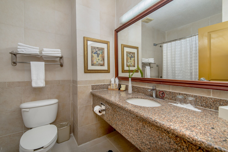 Bathroom 5, Hodelpa Garden Suites Golf & Convention Center, Guayacanes