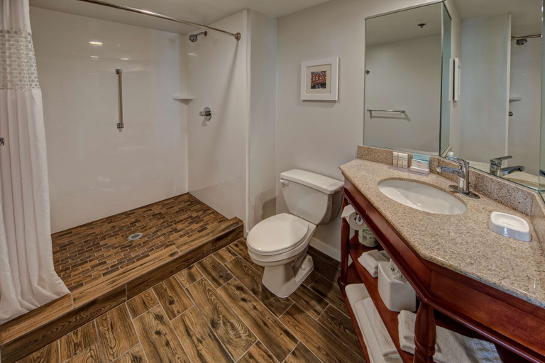 Bathroom 3, Hampton Inn By Hilton Concord/Kannapolis, Cabarrus