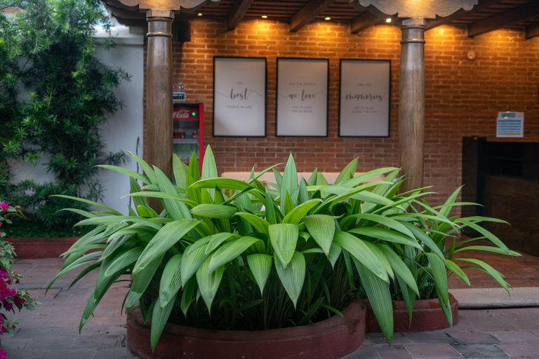 Exterior & Views 2, Barbaras Boutique Hostel, Antigua Guatemala